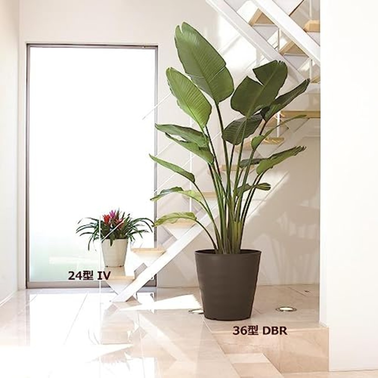 大和プラスチック 大型鉢 プランター フレグラーポット 30型 径300×高さ300mm 土容量14L アイボリー