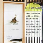 【受注生産】のれん うおづら  バンブルビーキャット 幅85ｘ丈150cm　99724