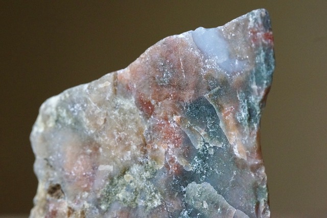 コプロライト ② Dinosaur Coprolites