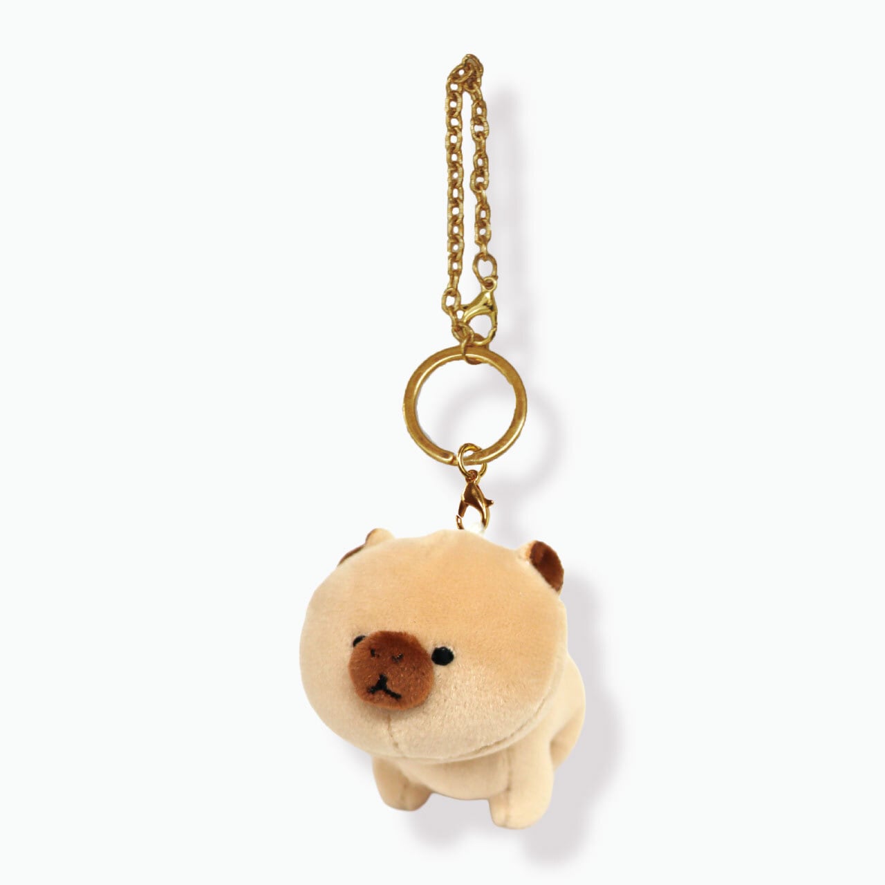 mofmofriends | ACCENT STORE