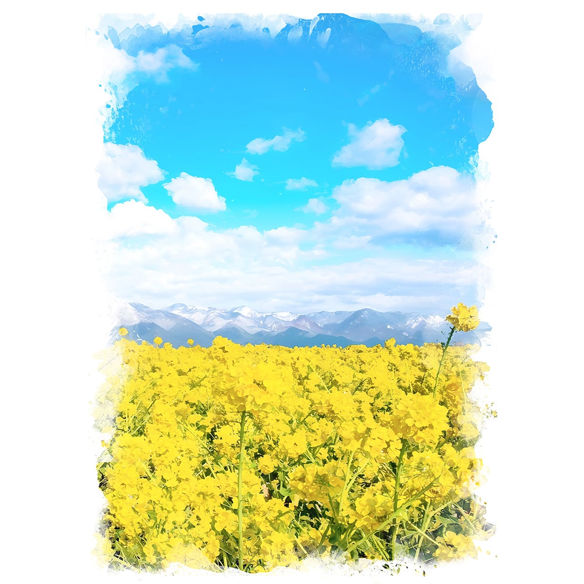 絵画(風景画) 日本 滋賀県 第一なぎさ公園の菜の花畑 インテリアアート