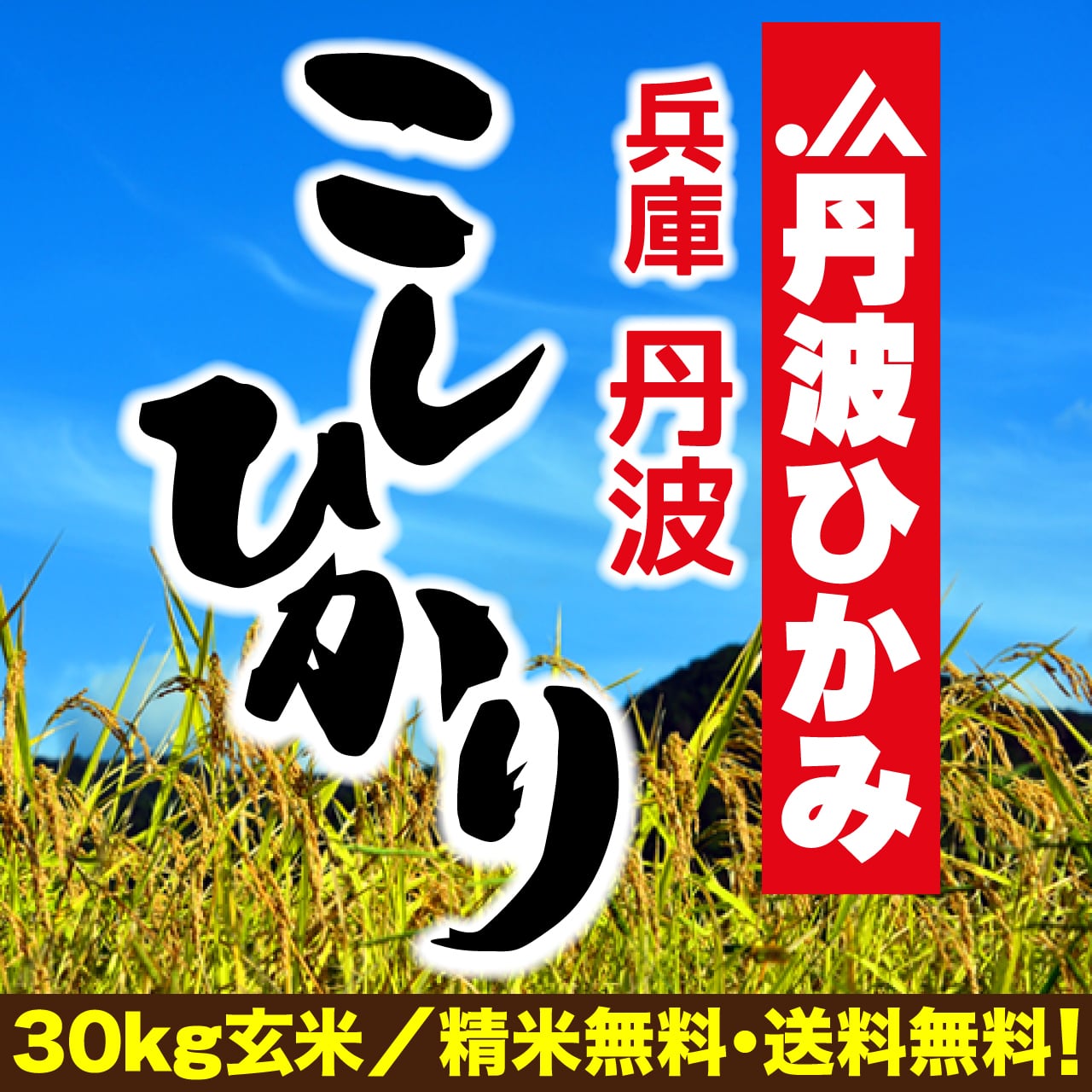 令和7年産 新潟県産新之助 玄米30kg | 玄米市場.com
