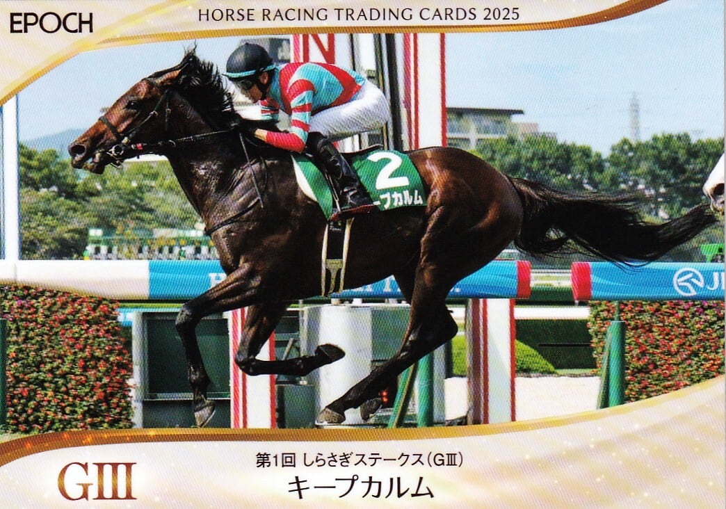 激レア　現地的中　フジキセキ　朝日杯3歳ステークス　額面100円　単勝馬券 激レア 現地的中 フジキセキ 朝日杯3歳ステークス 額面100円 単勝馬券