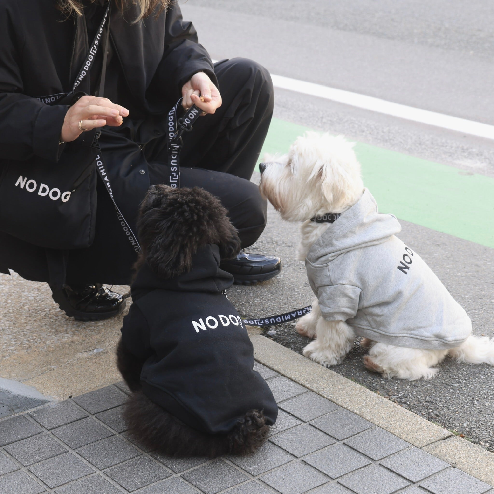 The Black Dog グレー パーカー S (Mサイズ相当) The Black Dog グレー パーカー S (Mサイズ相当) メンズ