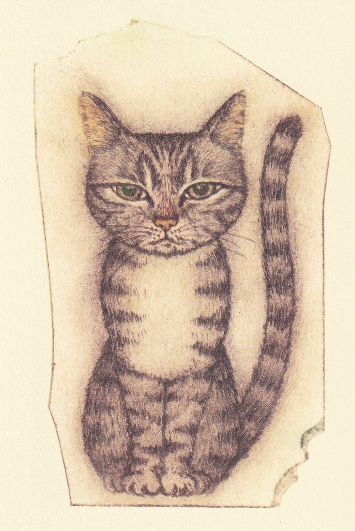 坂本千明さん キジトラ猫 紙版画 坂本千明さん キジトラ猫 紙版画 版画