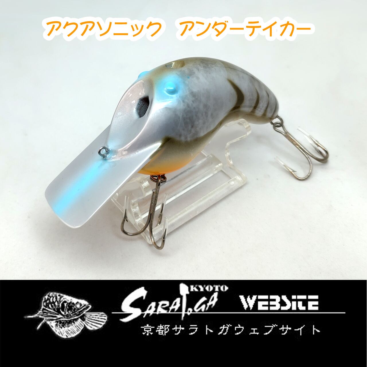 ビルノーマン リトルN | 京都さらとが