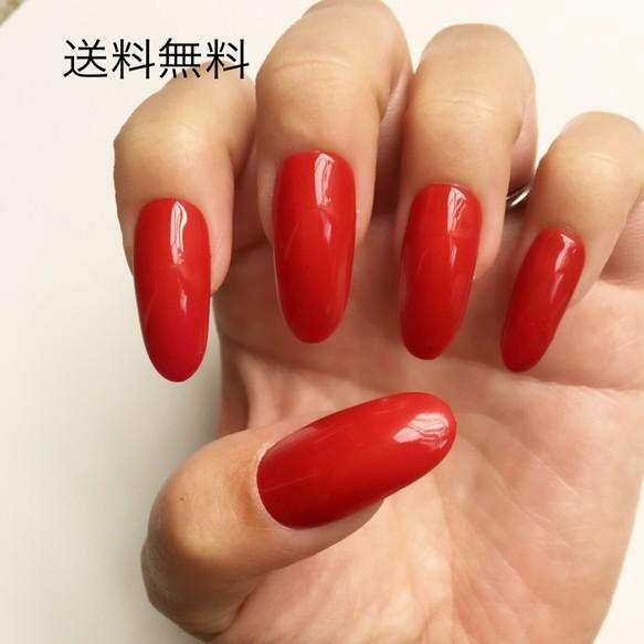 計測用ネイルチップロング | nailtipkirei