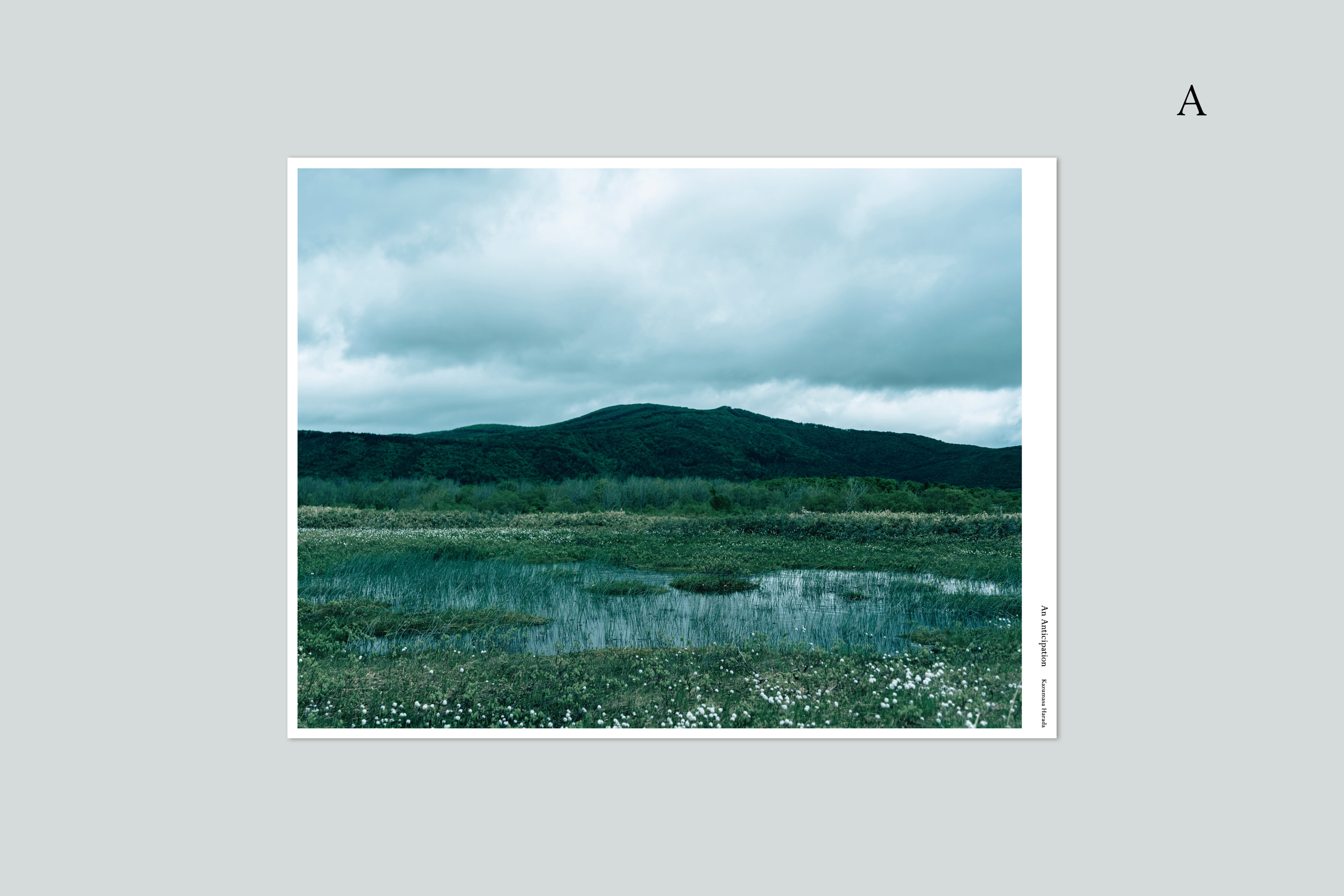 An Anticipation 』 POSTER 全8種 | Kazumasa Harada Online Store An Anticipation 』 POSTER 全8種 | Kazumasa Harada Online Store