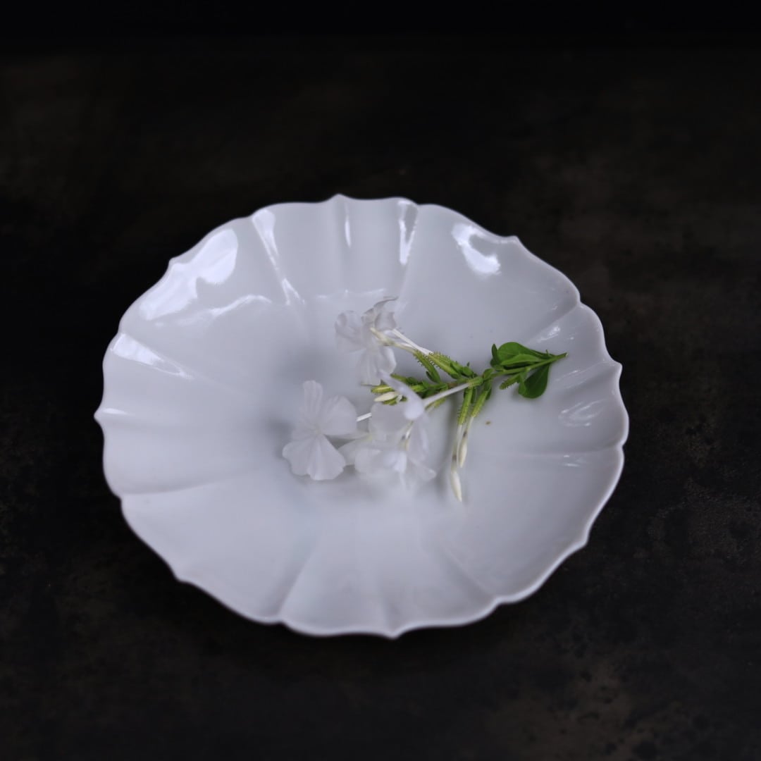 宮田竜司 | 芦屋貴兆陶家 online shop