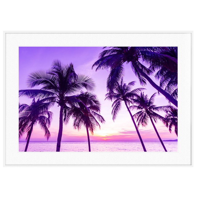 夏写真 ヤシの木 インテリアアートポスター額装 AS0425