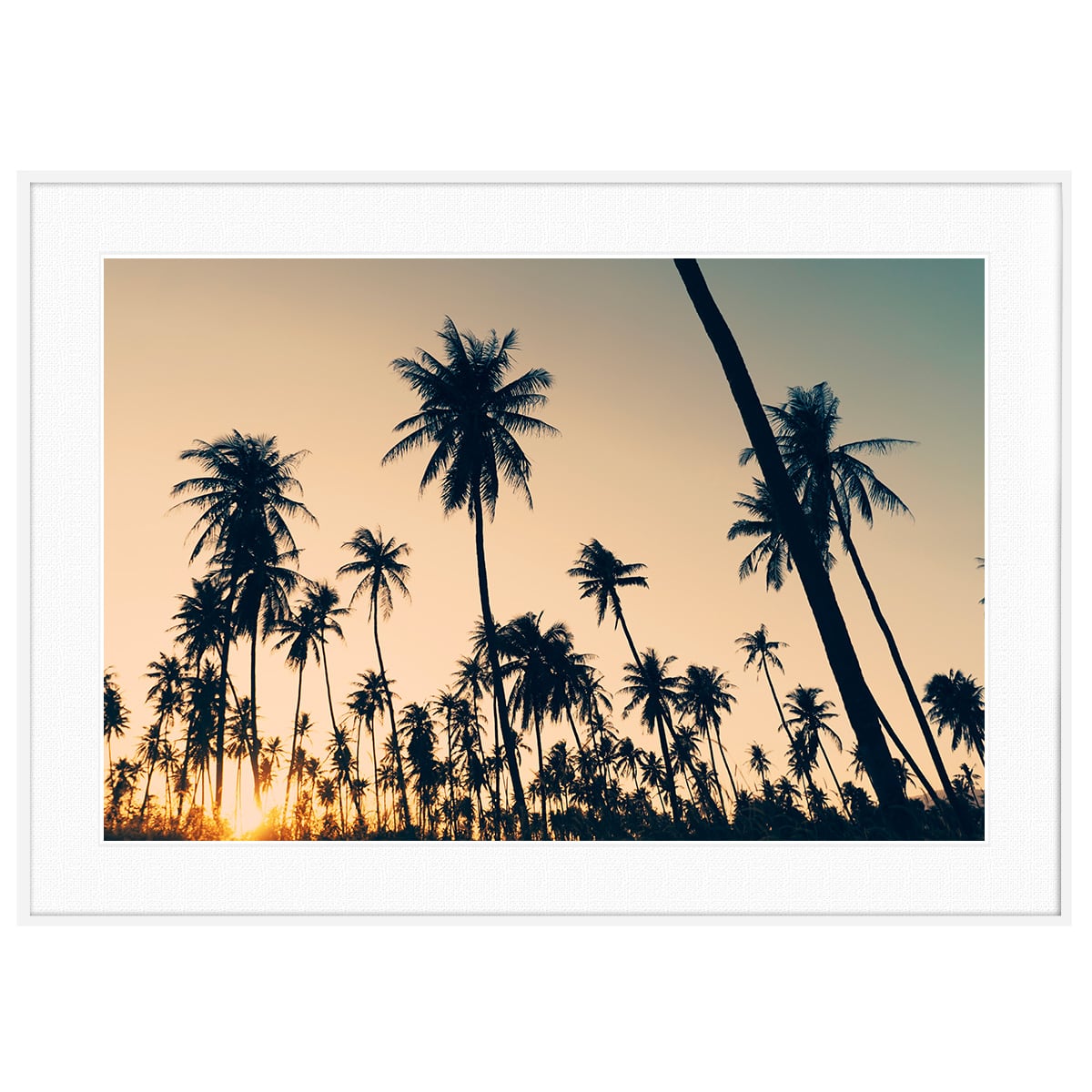 夏写真 ヤシの木 インテリアアートポスター額装 AS0427 | インテリア