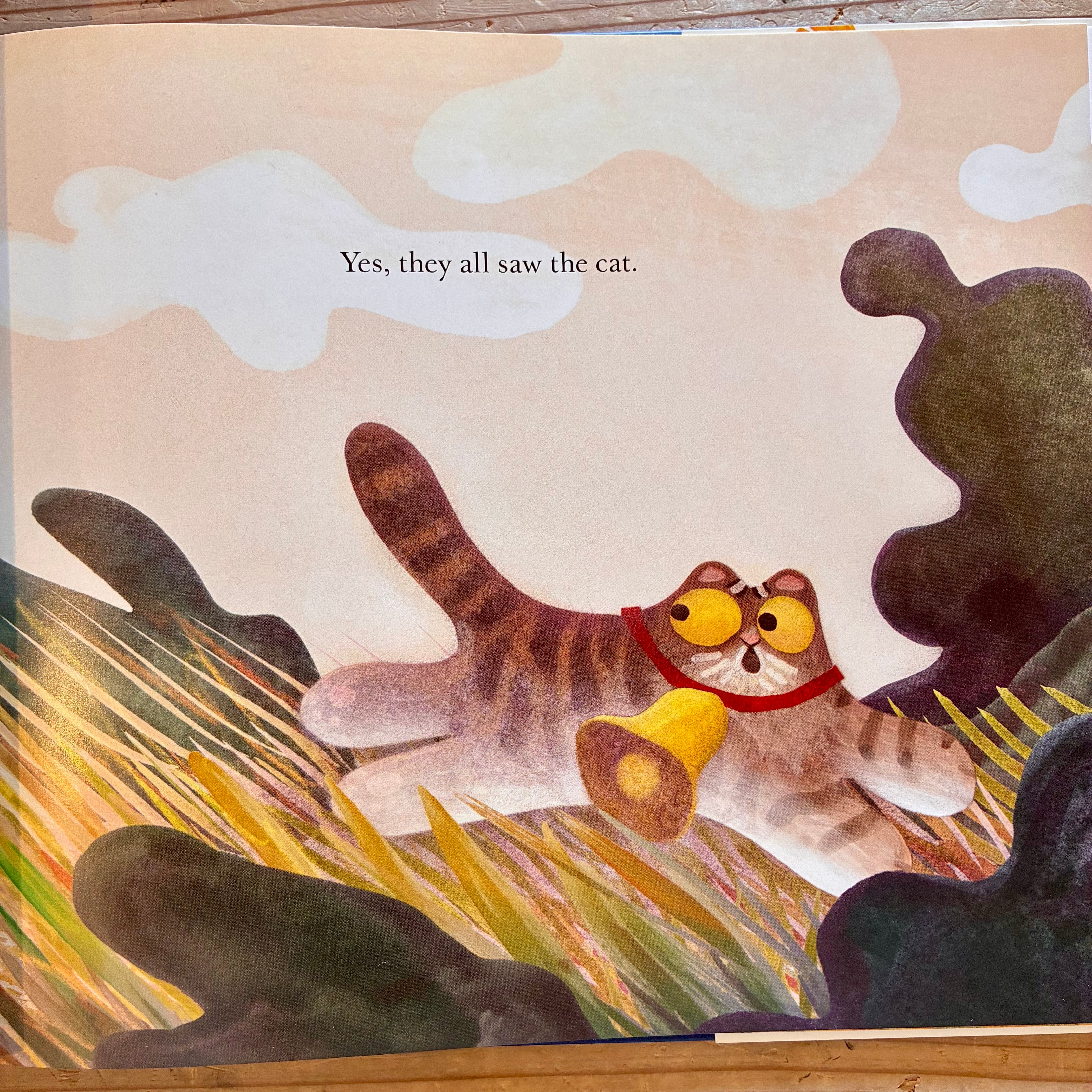 古本】They All Saw a Cat | ホホホ座 西田辺 絵本・新刊本・古本