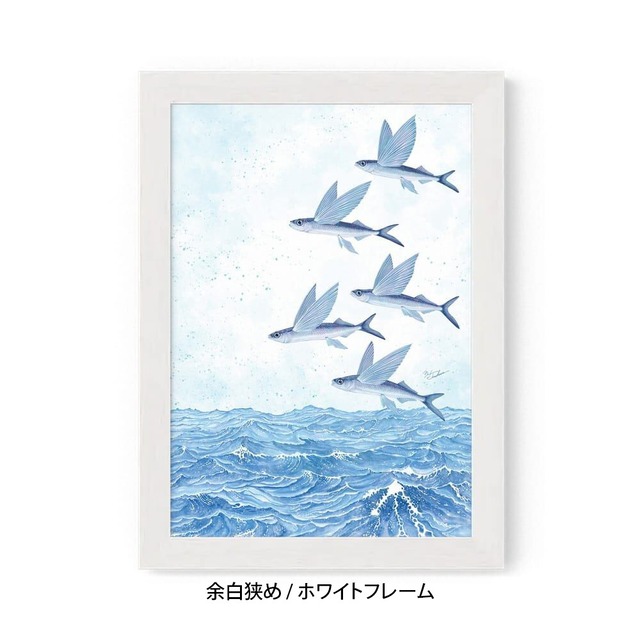 A5｜魚翔海図（ぎょしょうかいず）（フレームあり）