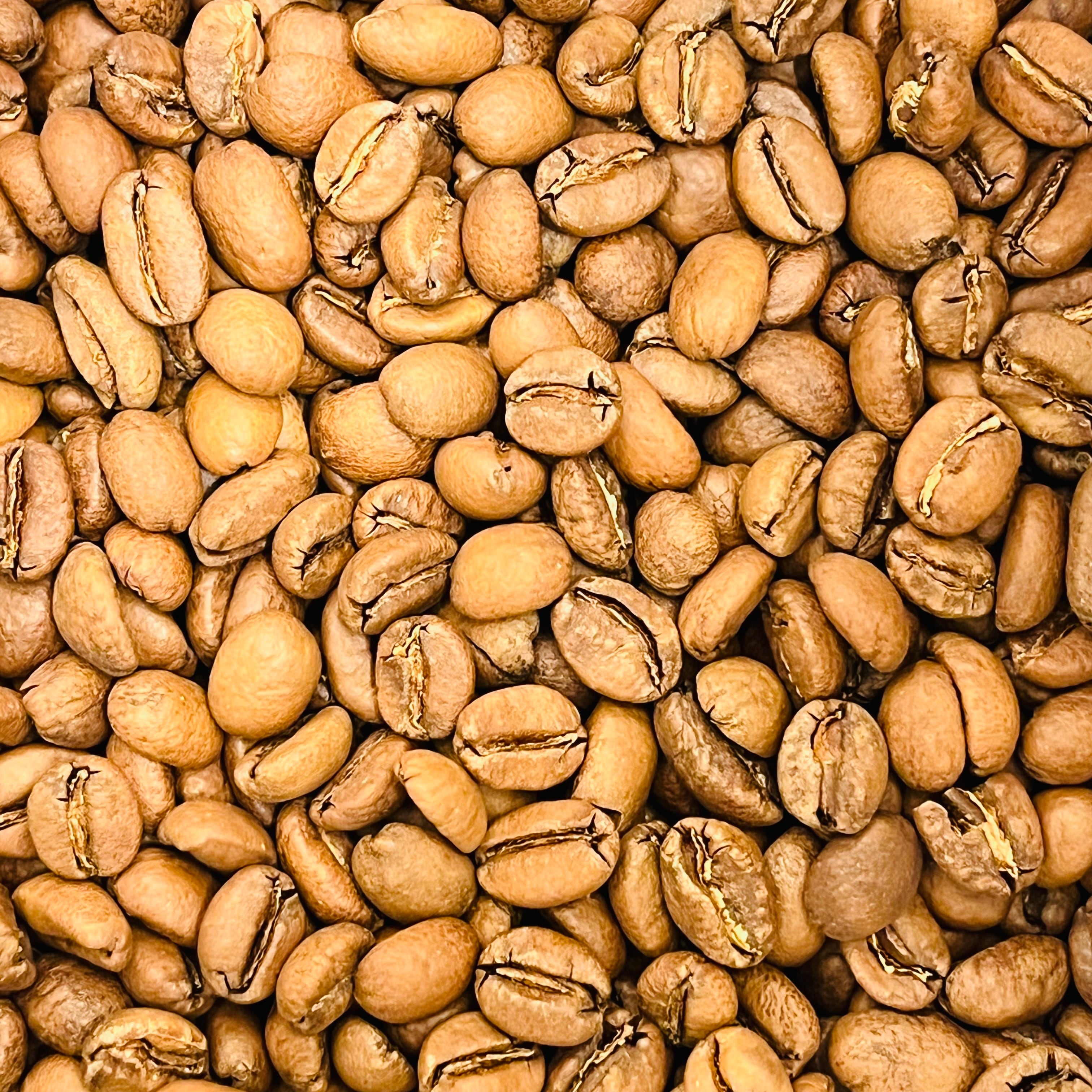 SOLD】エチオピア グジ シャキソ ジゲサ ナチュラル 100g 浅煎り