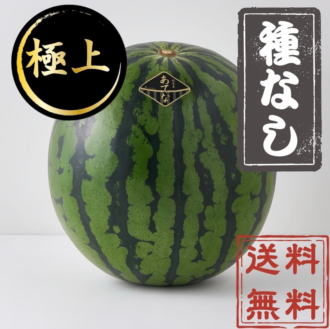 石戦（SEKISEN）