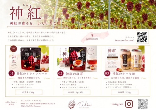 神紅のギフト(紅茶、ドライフルーツ、ケーキ缶クリーム・チョコ)