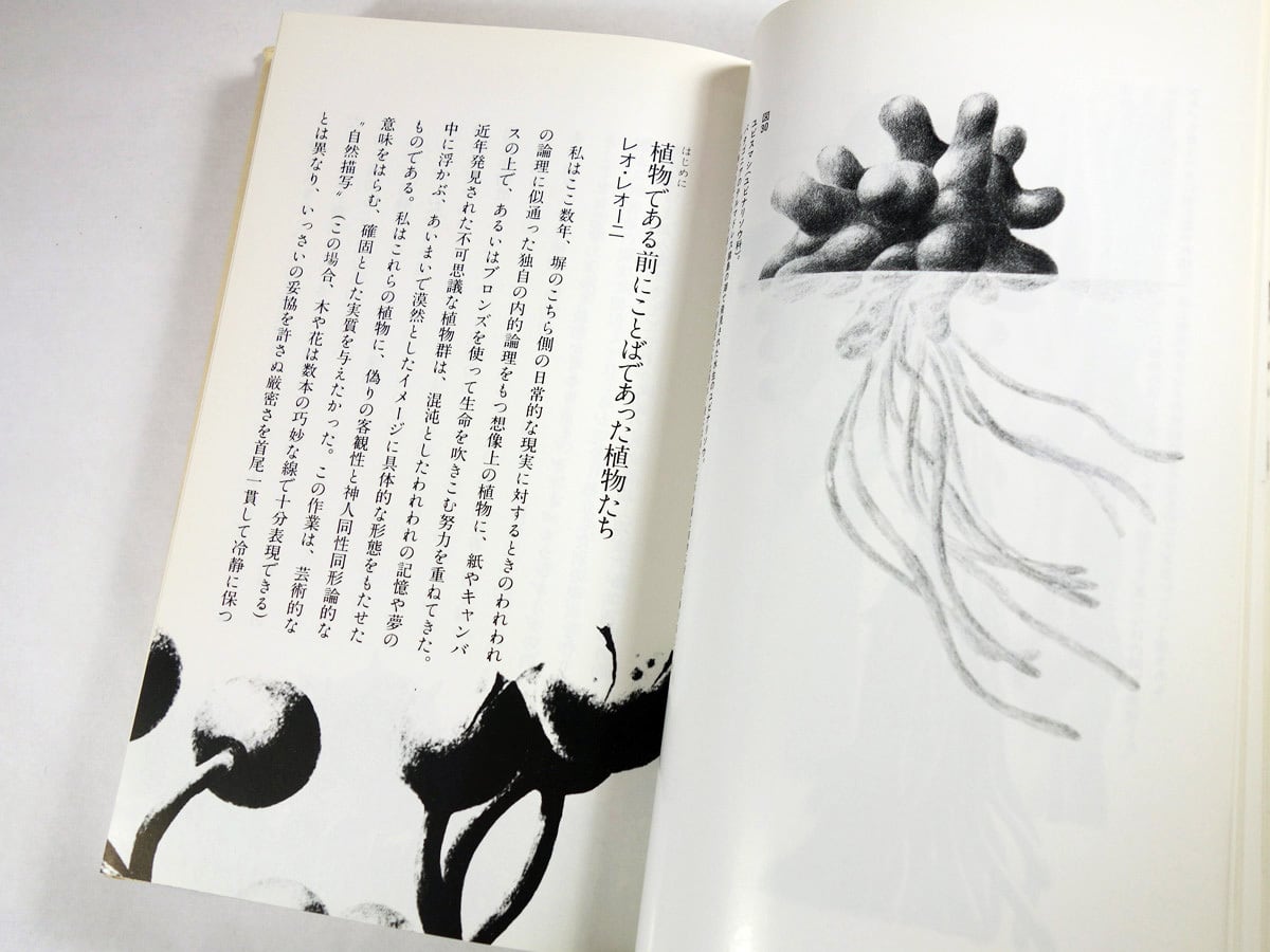 平行植物（レオ・レオーニ 著、宮本淳 訳） | bookstore ナルダ