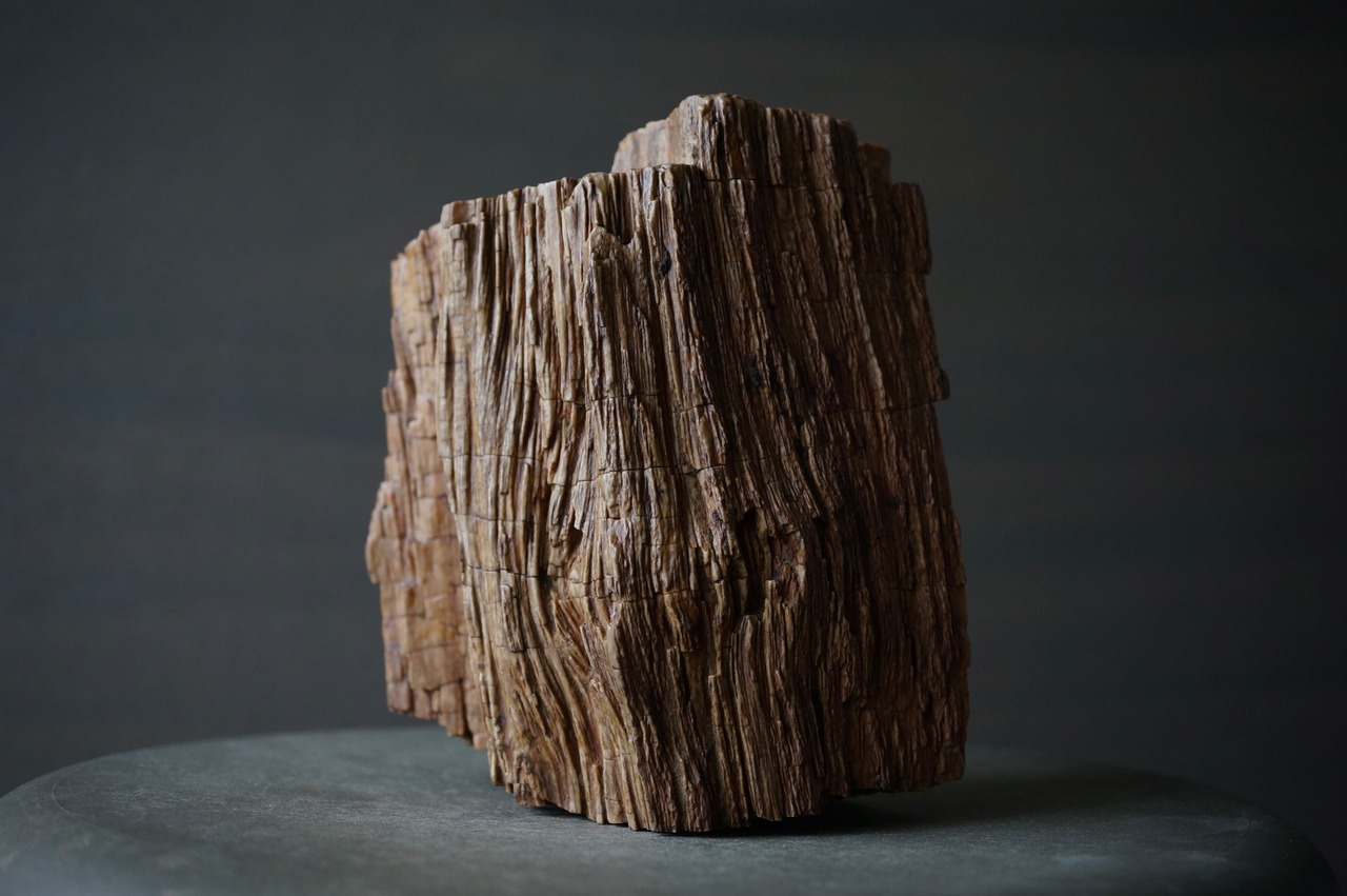 マダガスカル産珪化木 Petrified Wood 2400