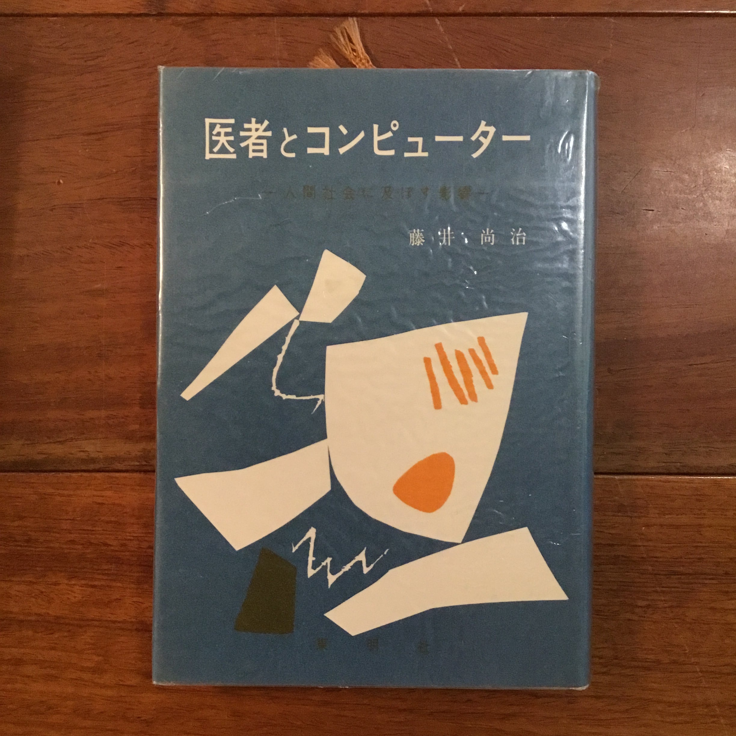 家族、積みすぎた方舟 : ポスト平等主義のフェミニズム法理論　初版 家族、積みすぎた方舟 : ポスト平等主義のフェミニズム法理論 | Flying