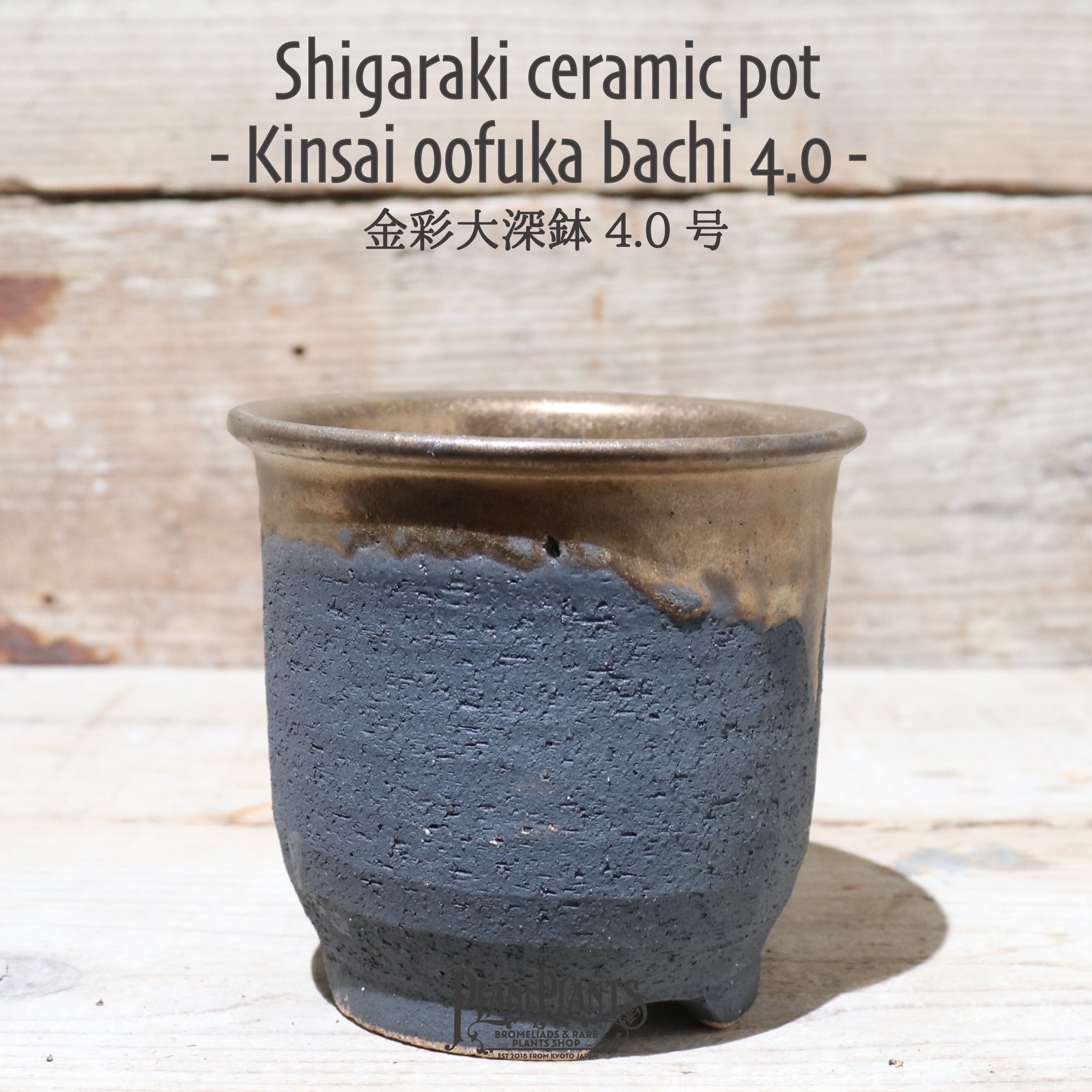 送料別】金彩大深鉢 4号〔信楽焼〕 | plane plants