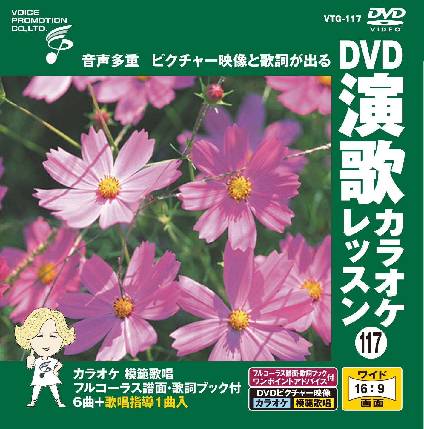 カラオケ 演歌 レッスン DVD スライド映像 カラオケ 演歌 レッスン DVD スライド映像