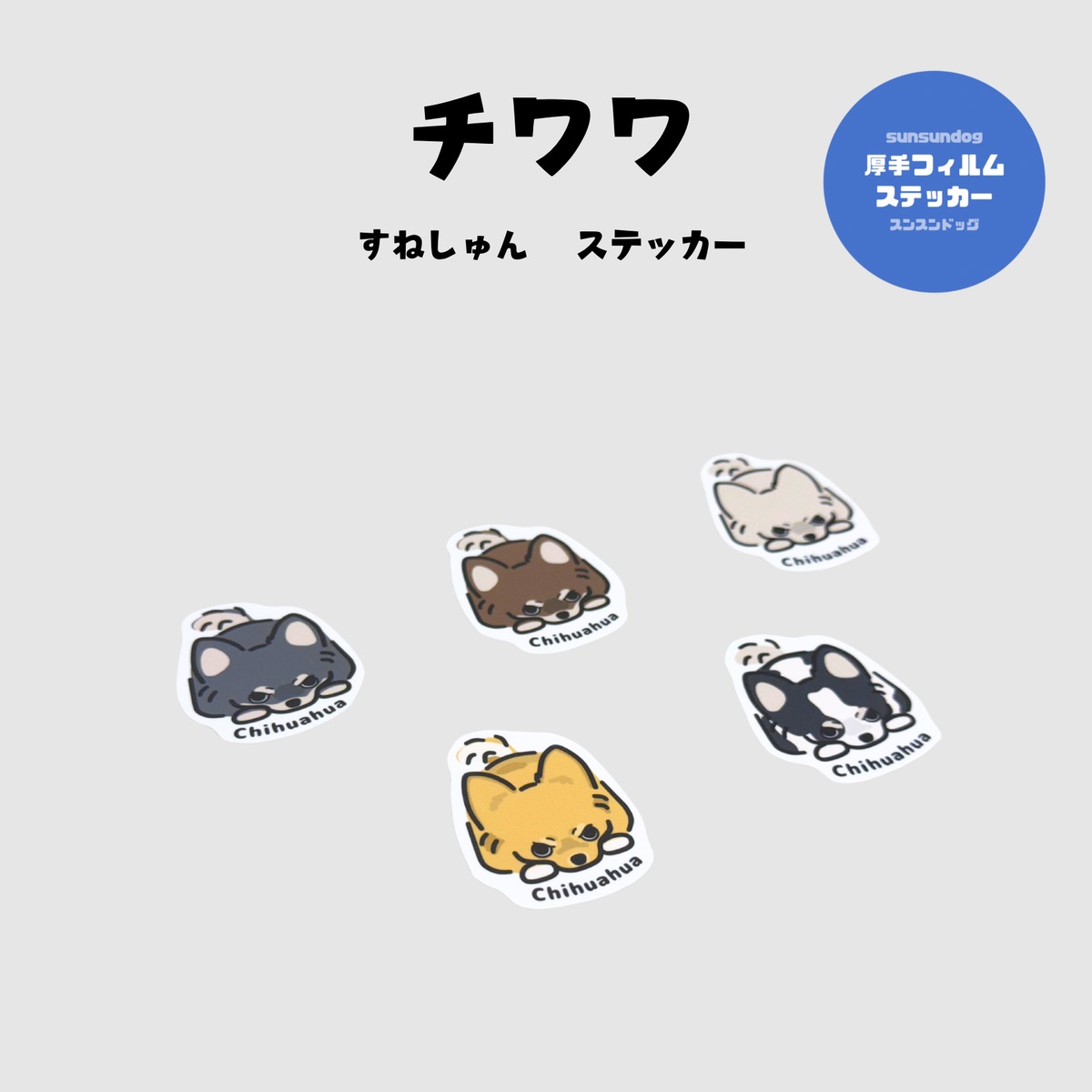 チワワ すねしゅん 厚手フィルムステッカー | sunsundog