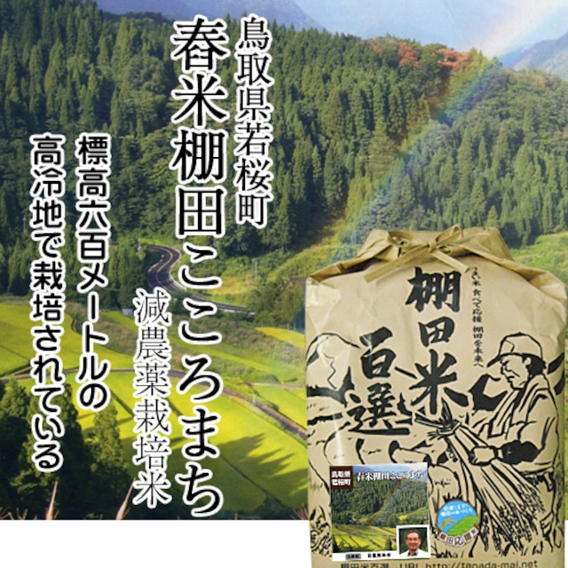 【令和5年産】舂米(つくよね)棚田「華越前」【減農薬栽培米】（白米／玄米 5kg）