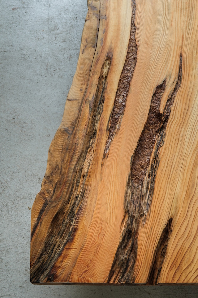 黒松(Black Pine)