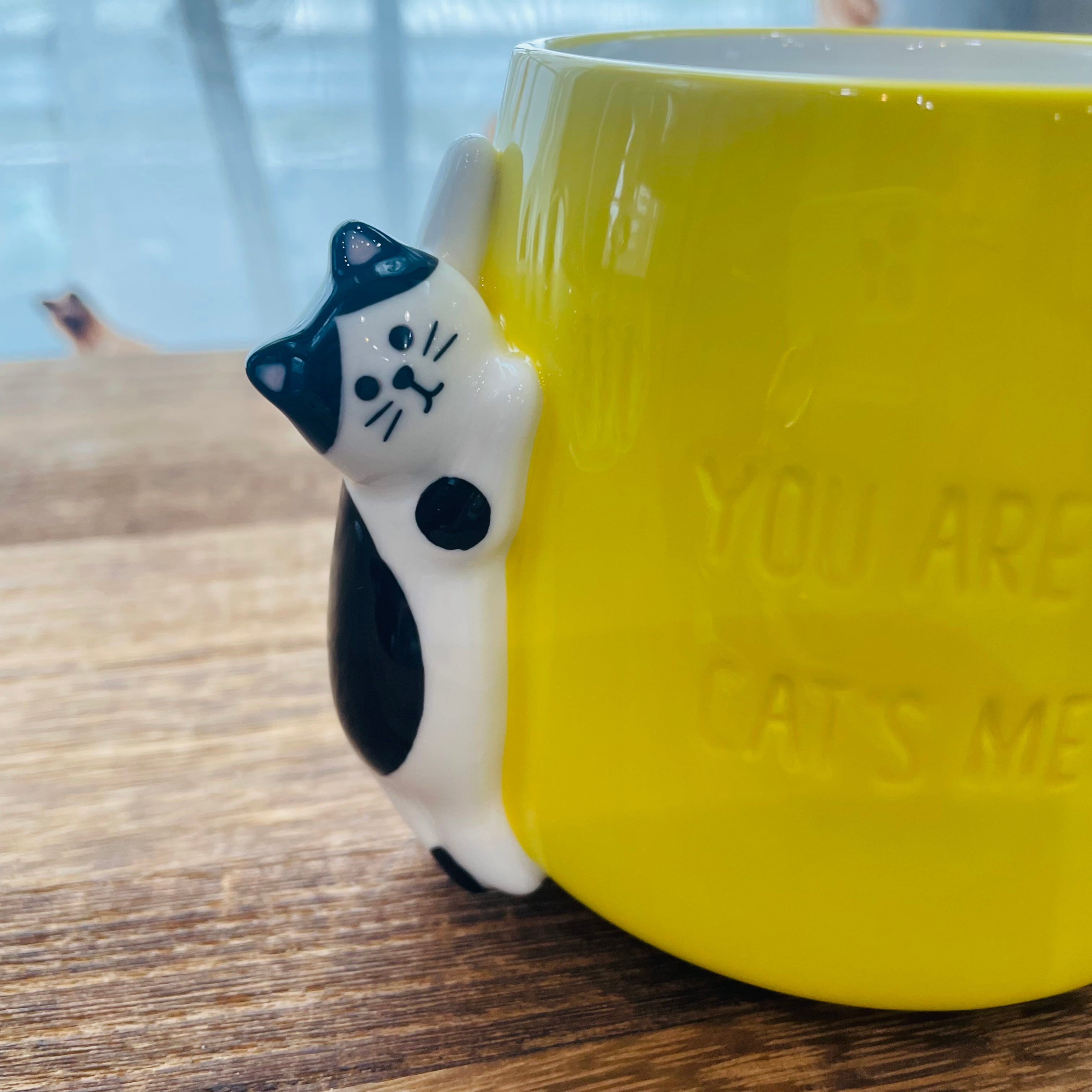 マグカップ｜つめとぎ猫　猫 猫グッズ 猫柄 ねこモチーフ かわいい プレゼント 贈り物 ギフト お家時間 おうちカフェ ハチワレ猫 トラ猫 白黒猫