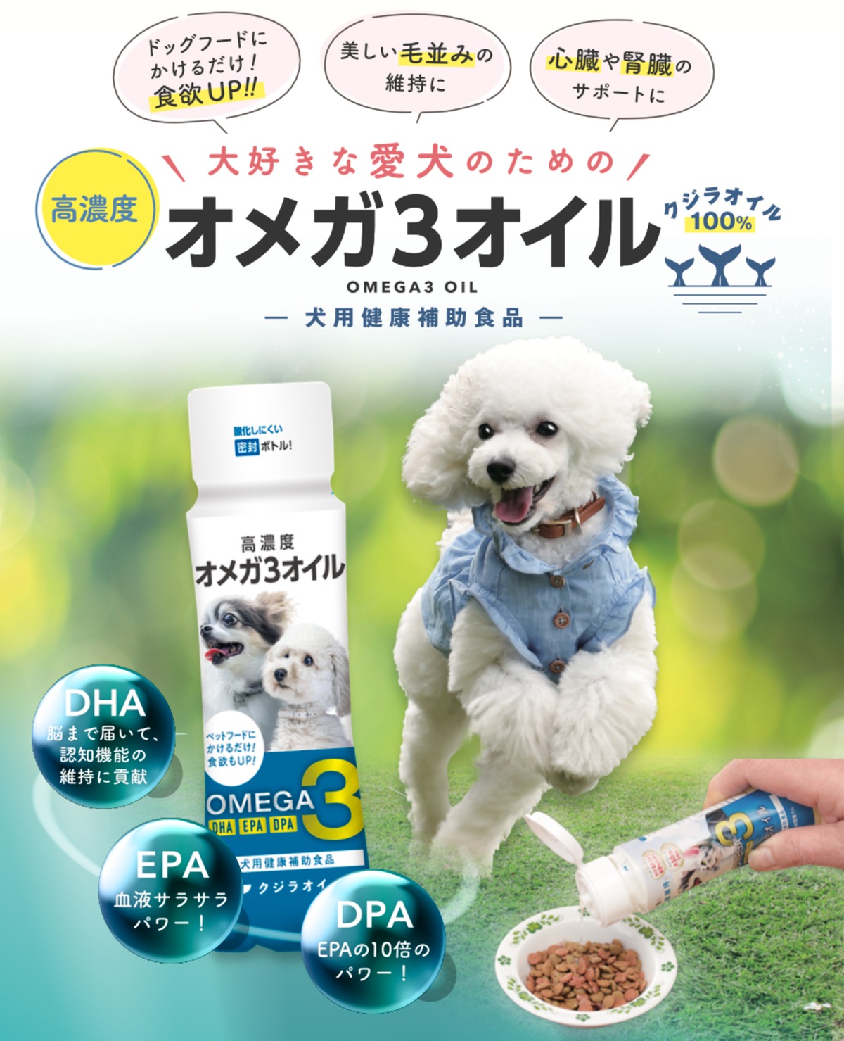 犬心 OMEGA3 SUPPORT DOGS ドライフード 計13袋 犬心 全商品一覧 - 犬心～