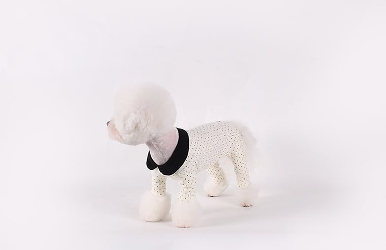 【SALE】 JETTY MINI DOT ALL IN ONE S ~ XL 3color / 犬服 新作 オールインワン 長袖 ロンパース ドッグウェア 小型犬 中型犬 犬 服 猫 ペット用品 ペット洋服