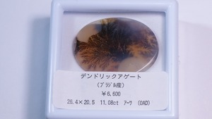 YouTube176-9 デンドリックアゲート［ブラジル産］