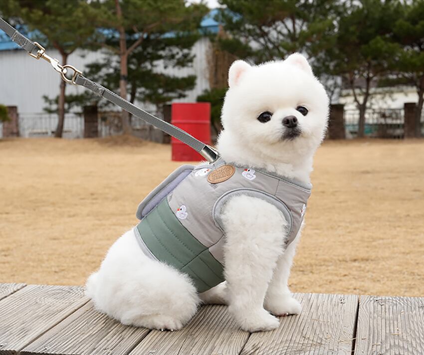 cute duck padding harness S ~ L 2color / 犬 服 秋冬 暖かい