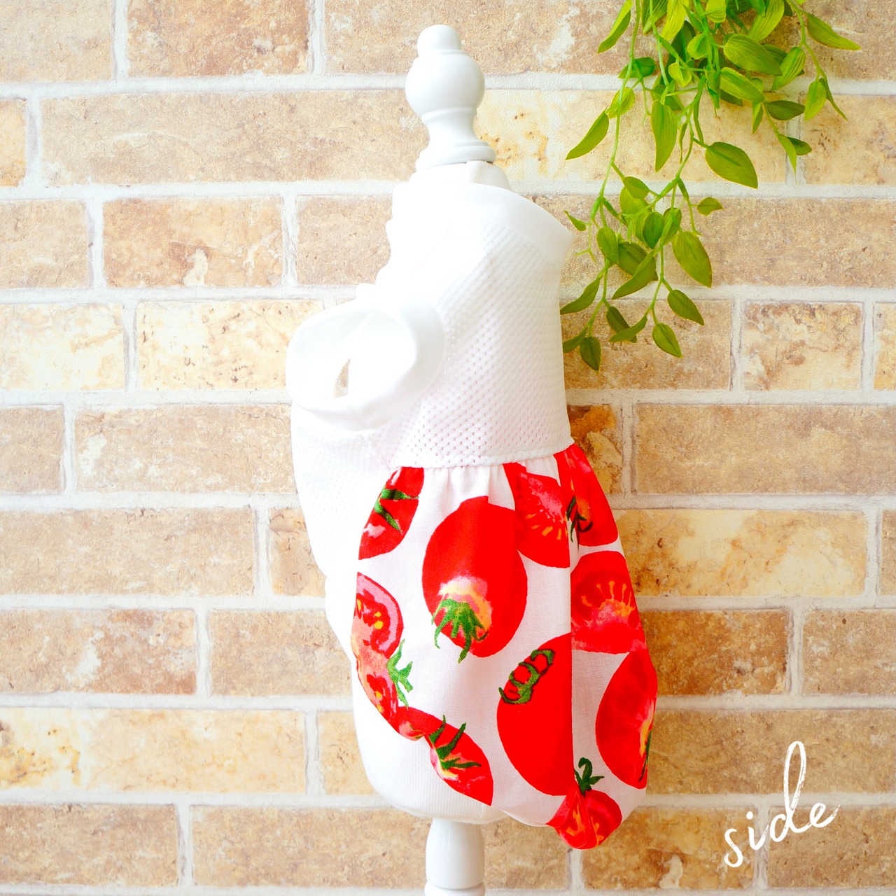 フレッシュTOMATO