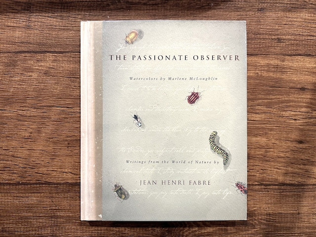 【VW134】The Passionate Observer /visual book