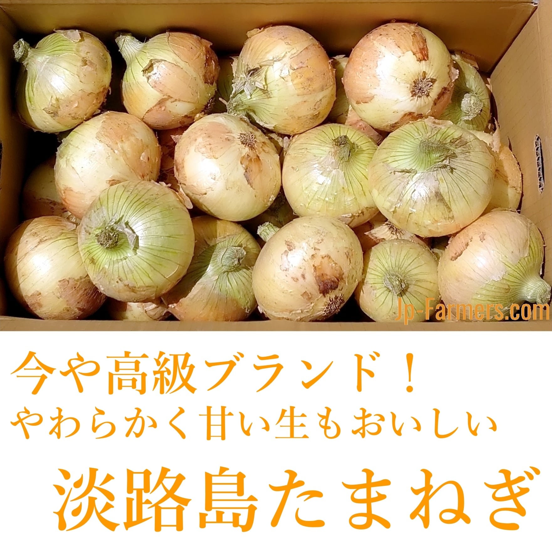大人気 甘い新玉ねぎでおなじみの 高級ブランド兵庫県淡路島の早生 10ｋｇ Jp Farmers Com