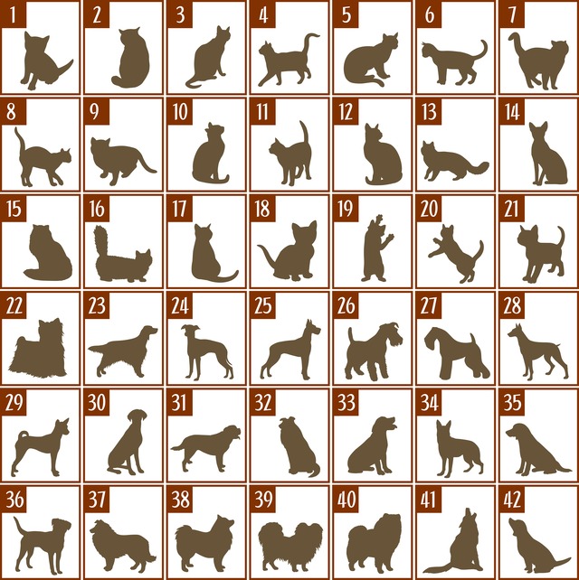 名前＆シルエット入り　オーダーメイド　グリーンリーフ柄ポット【ポット＋刻印＋巾着セット】（送料無料）