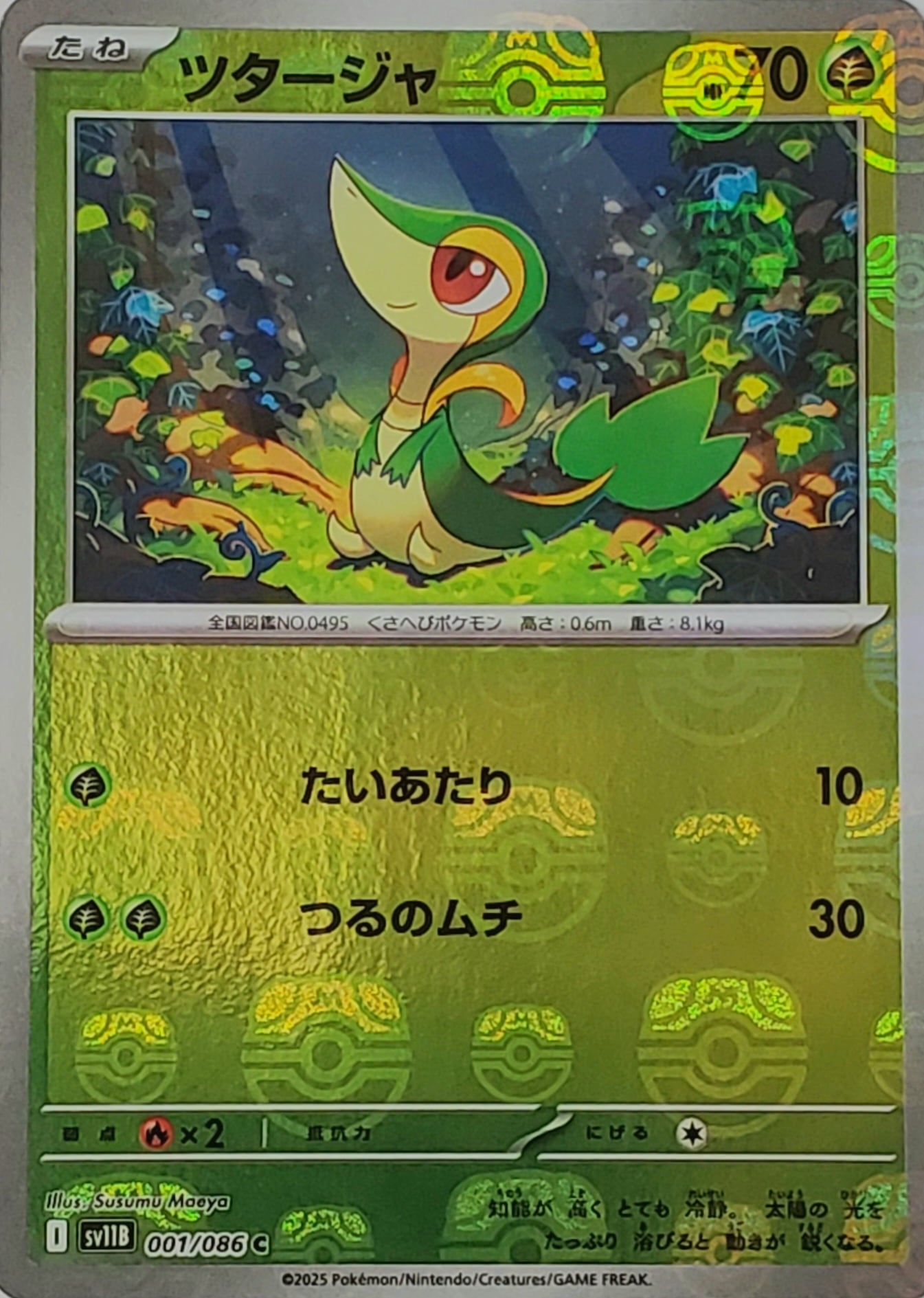 ポケモンカード 【ステラミラクル】 BOX シュリンク付き 送料無料 | PAY ID