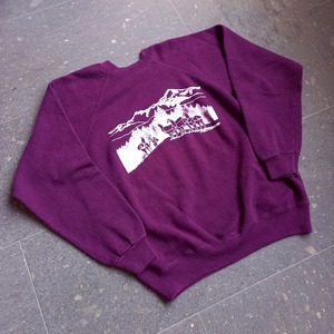 アメリカ製 Hanes プリントスウェット used [105016]