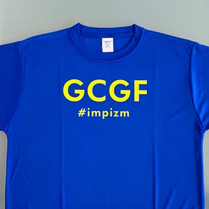 Tシャツ(ドライ)『IMPIZM』Typography Logo／Blue