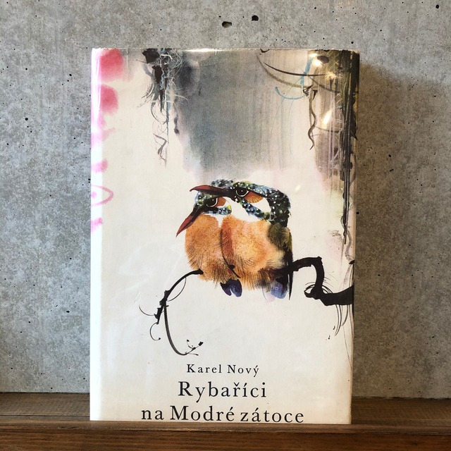 Karel Novy Rybarici na Modre Zatoce