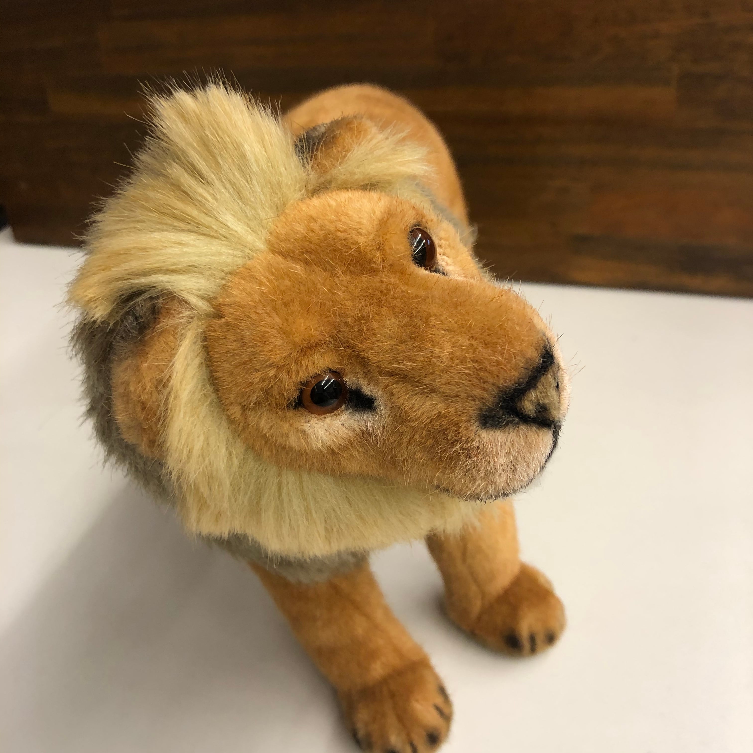 KOSENケーセン社 / おすライオン | wg-anne