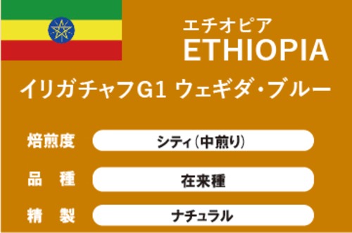 【エチオピア】イリガチャフＧ1 ウェギダ・ブルー（中煎り）