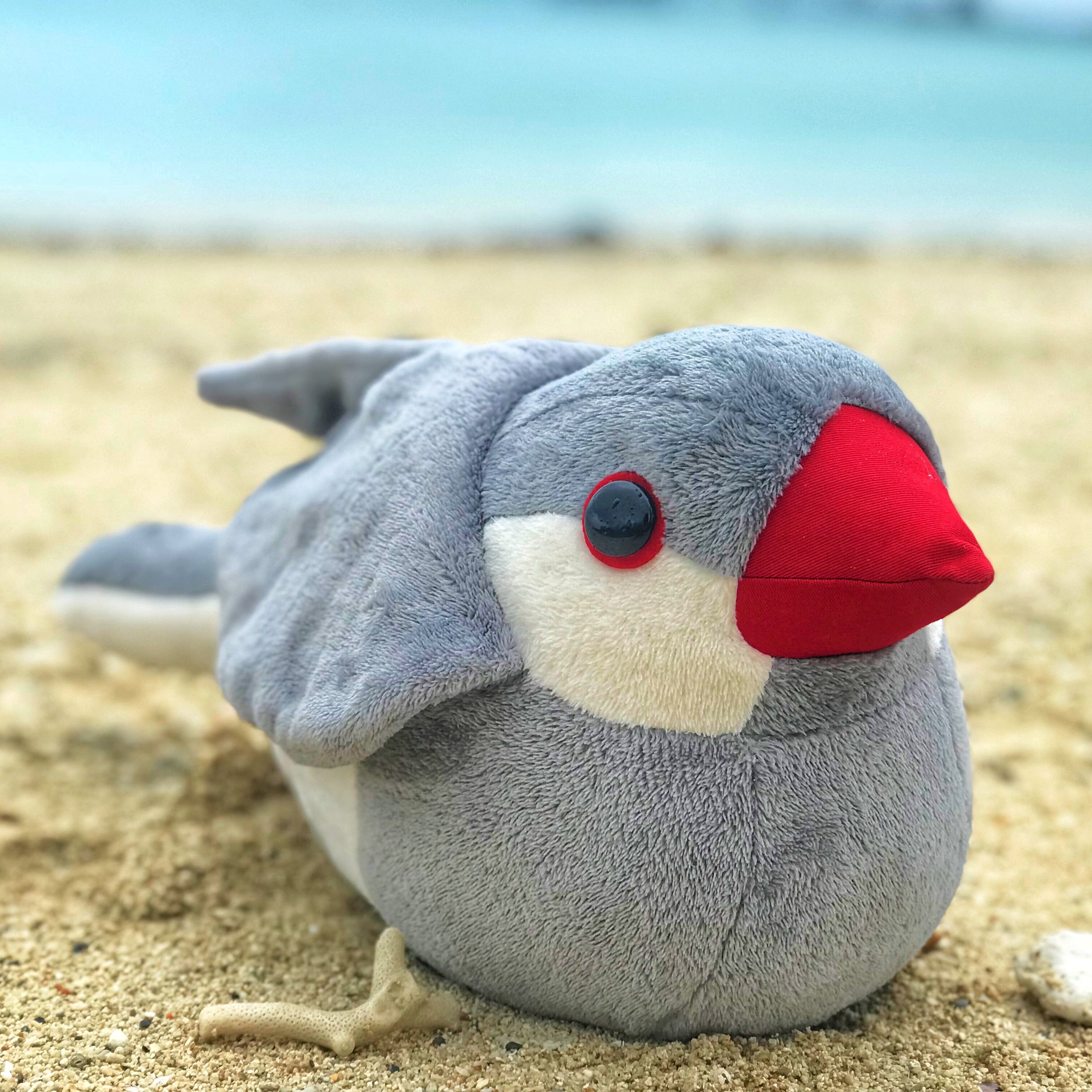 新サイトにて販売中 抱き文鳥ぬいぐるみ シルバー文鳥 Mofmof