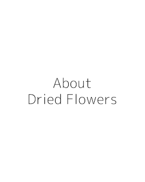 about dried flowers