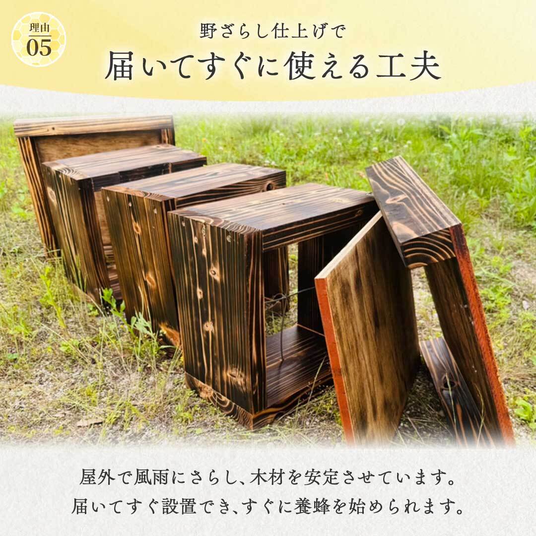 手作り杉材！完成品6点セット】日本語説明書付き ニホンミツバチ 重箱