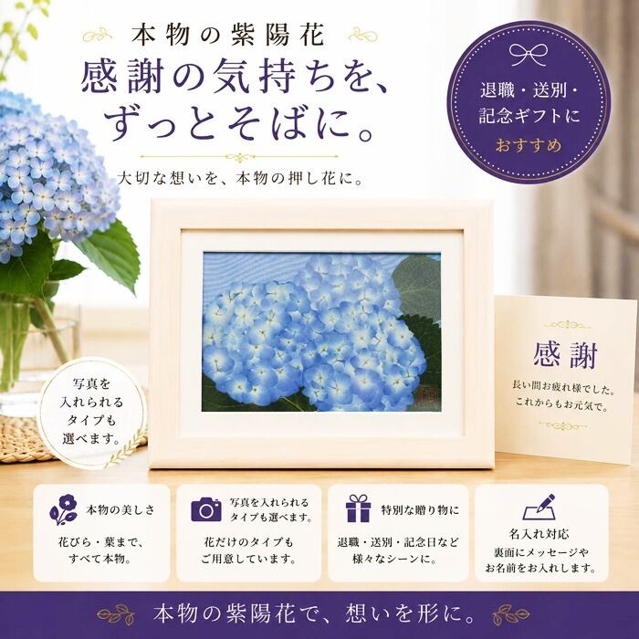 本物のお花の押し花アート 紫陽花（あじさい）フレームギフト｜6月の