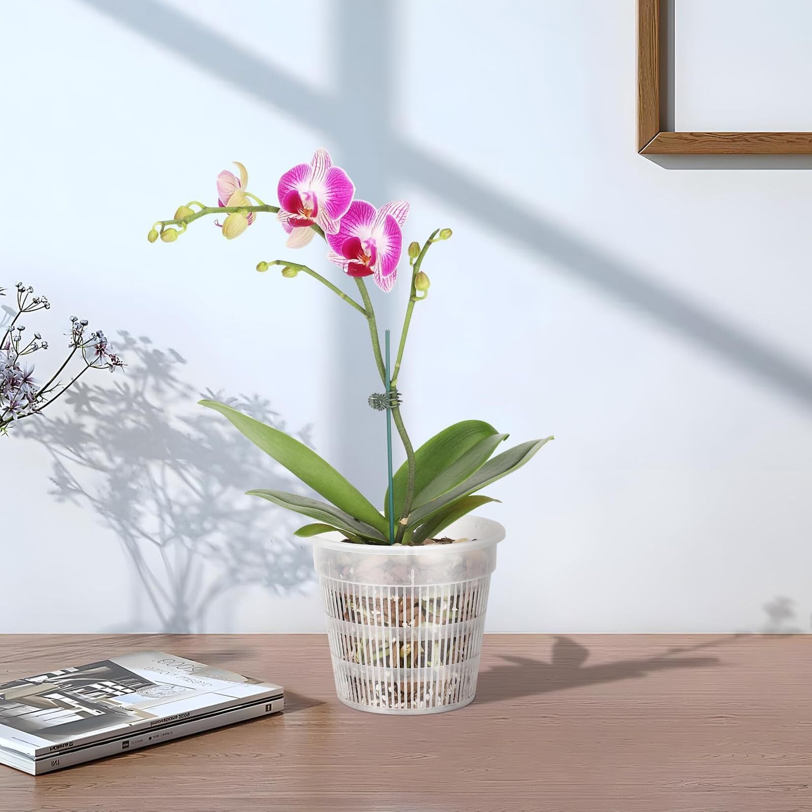 新着商品】Orirya プランター 植木鉢 プラスチック スリット鉢 透明