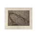 落合皎児【版画】Wind Mirror #24/30 — 1990s 25(H) × 32(W)cm