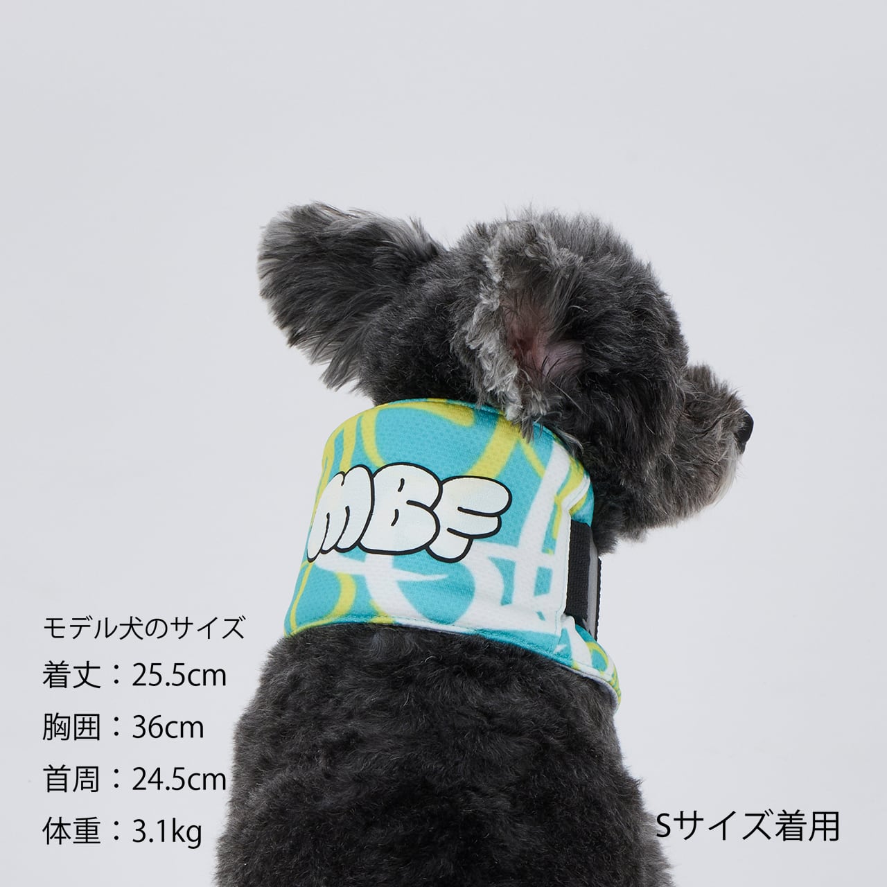 CCL NECK COOLER（S.M） | MANDARINE BROTHERS マンダリンブラザーズ